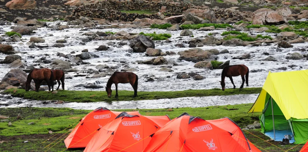 ay4er4qvcaf6gguwzgao0npmzwpz_shutterstock_1506397010