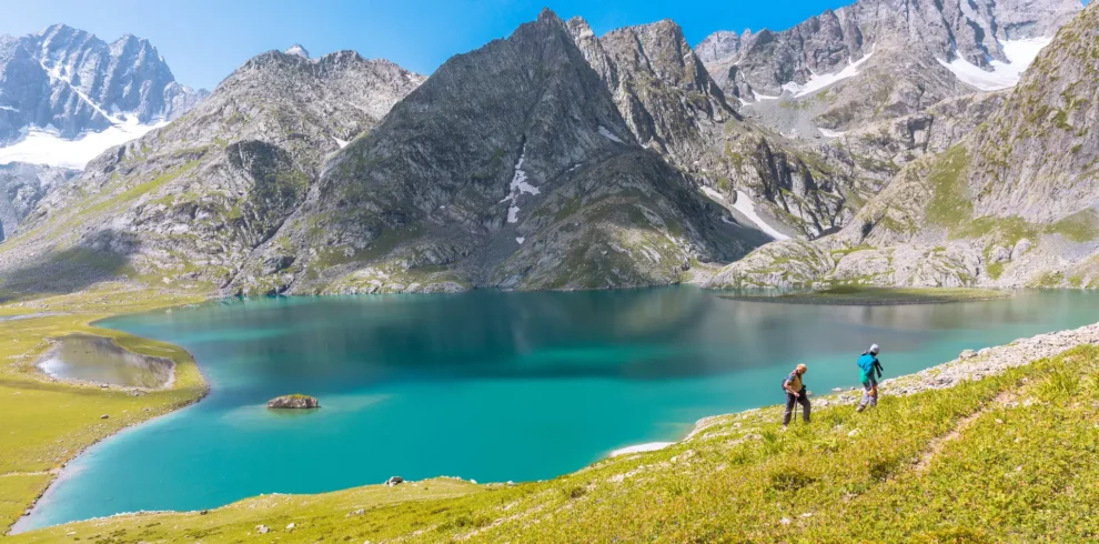 asm8zqewzcu3sqwi8fc1vtec65s1_shutterstock_1030683775